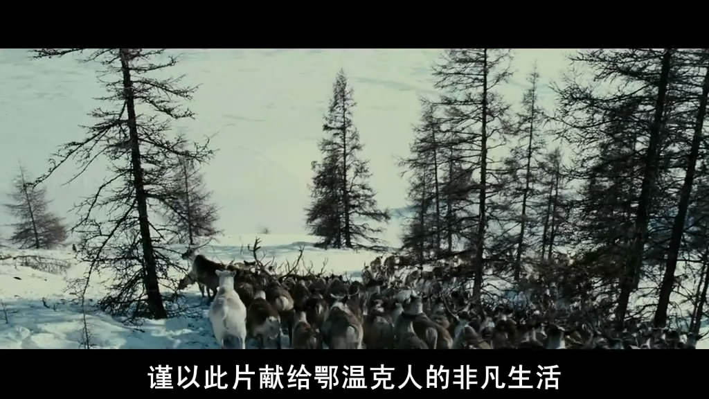 《狼》海报第53张图片 《狼》海报第53张图片