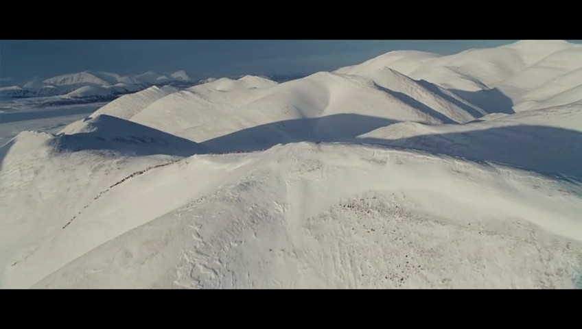 《狼》海报第46张图片 《狼》海报第46张图片