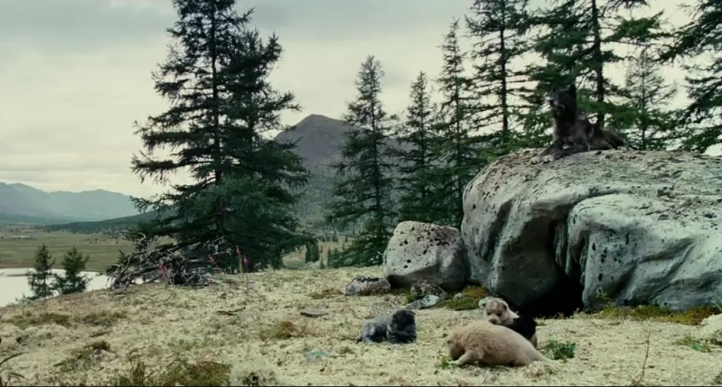 《狼》海报第27张图片 《狼》海报第27张图片