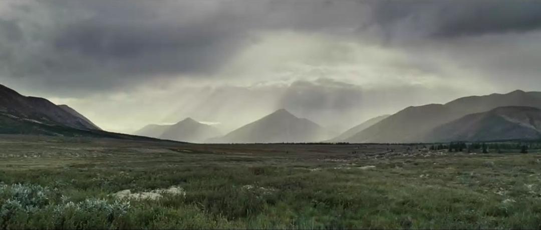 《狼》海报第14张图片 《狼》海报第14张图片
