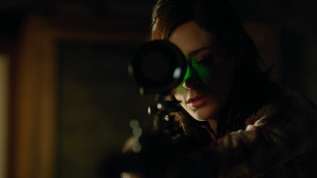 《变性双面杀手》剧照第22张图片 《变性双面杀手》剧照第22张图片