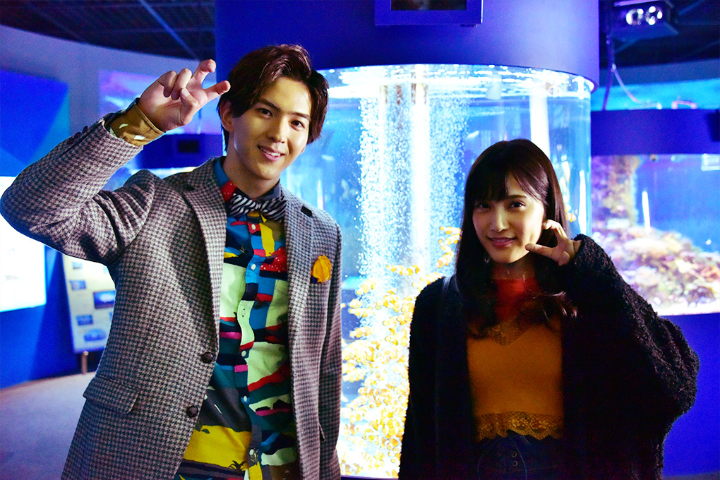 《花予野兽第一季》海报